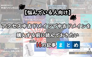 【悩んでいる人向け】アクセス中古ドメインで中古ドメインを購入する前に読んでおきたい16の記事まとめ...